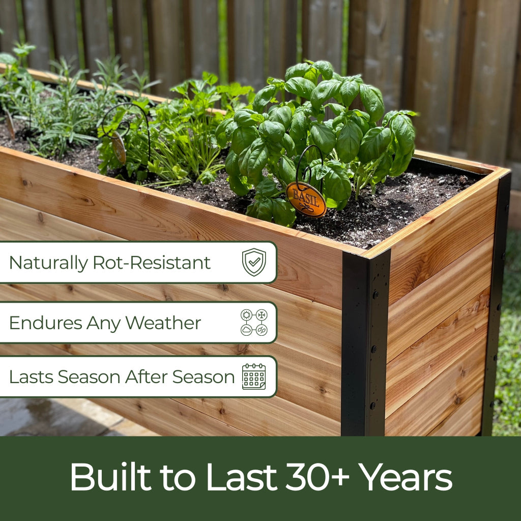 11.5" x 36" Raised Garden Bed - 30" TALL / Garden Grade