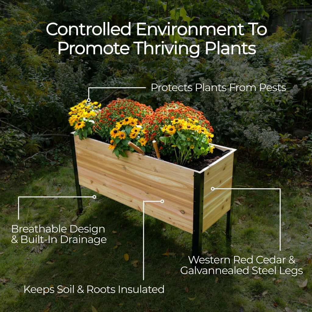 18" x 36" Planter Box - 24" TALL / Select Grade