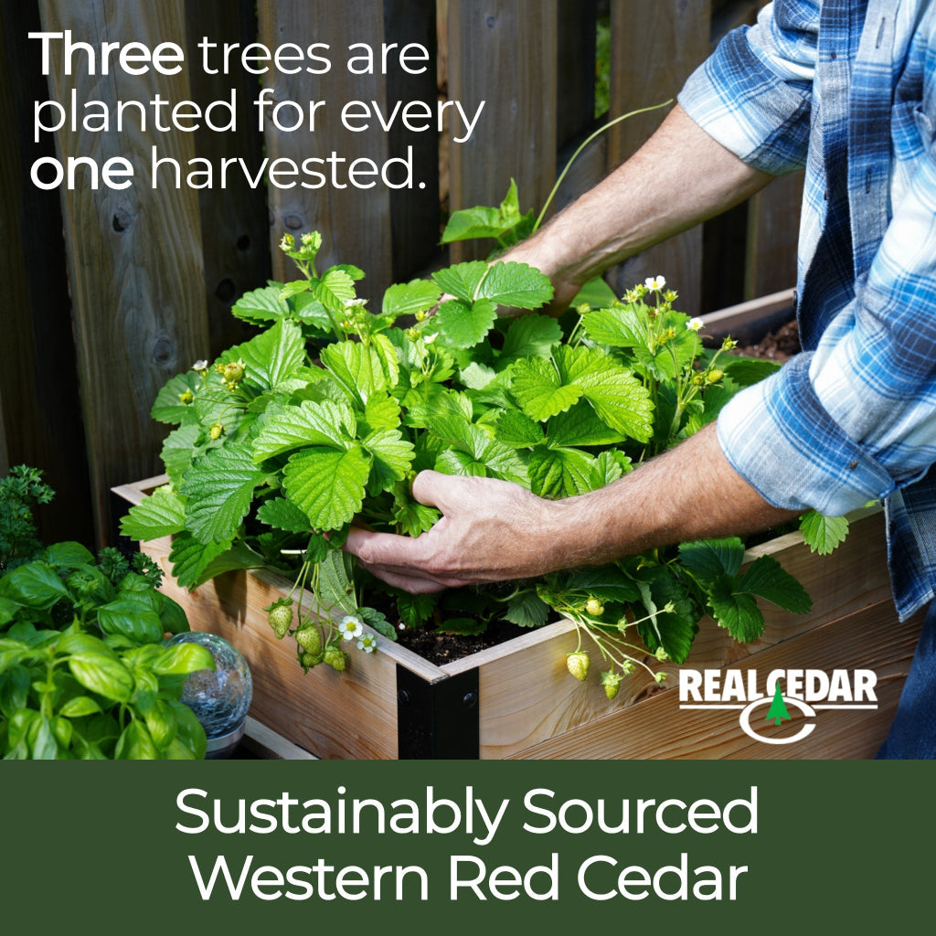 18″ x 24″ Raised Garden Bed - 30" TALL / Garden Grade