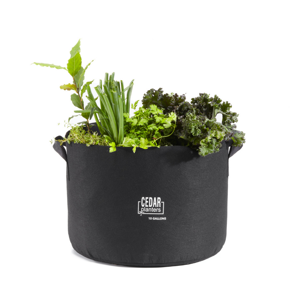 Grow Bag (10 Gallon)