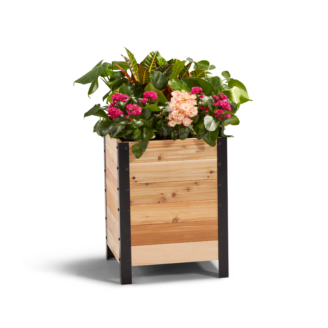 18″ x 18″ Planter Box - 24" TALL / Select Grade