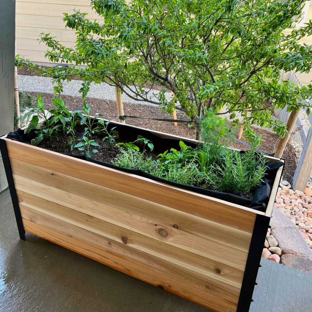 18" x 48" Planter Box - 24" TALL / Garden Grade