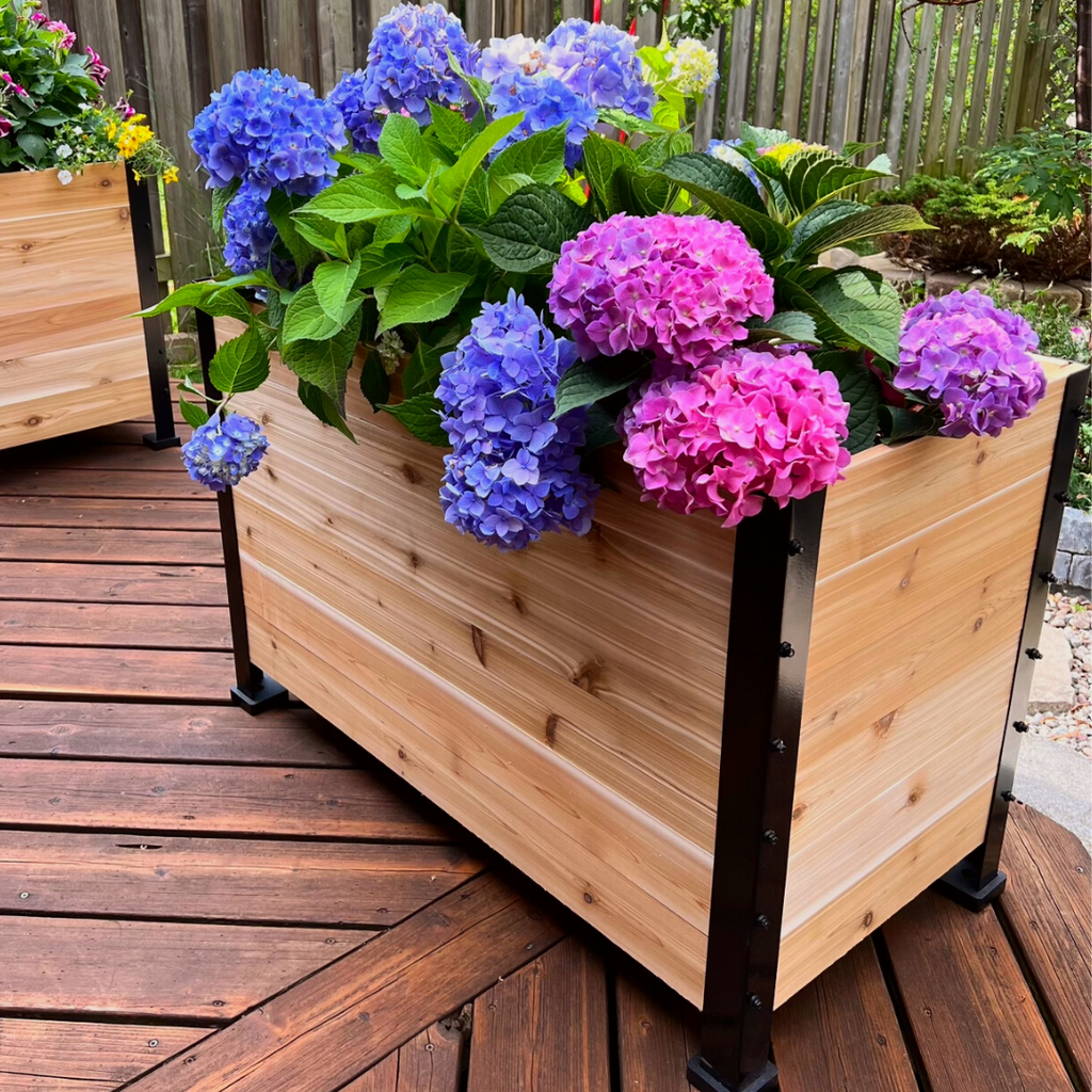 18" x 36" Planter Box - 24" TALL / Garden Grade