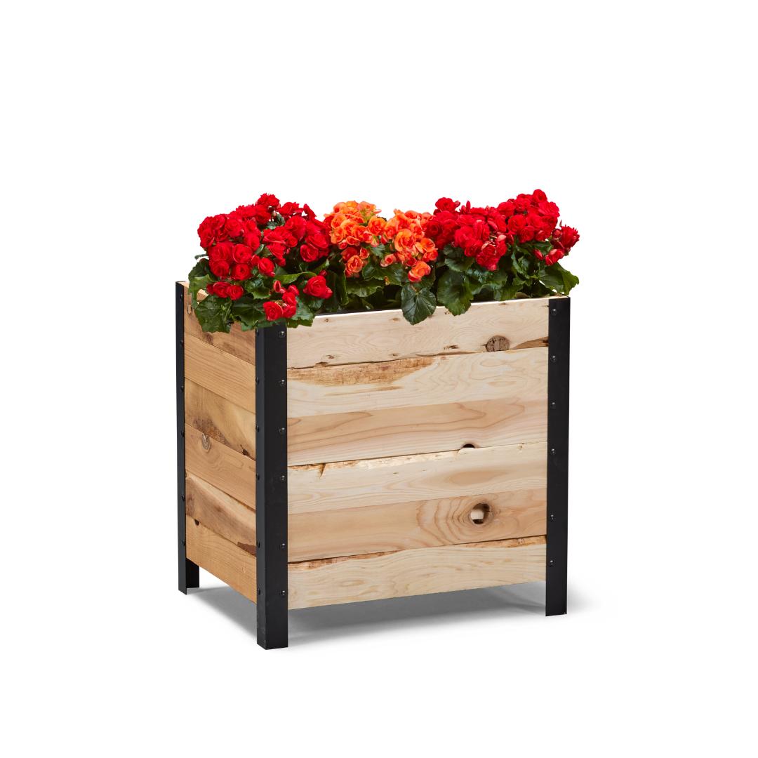 18" x 24" Planter Box - 24" TALL / Garden Grade