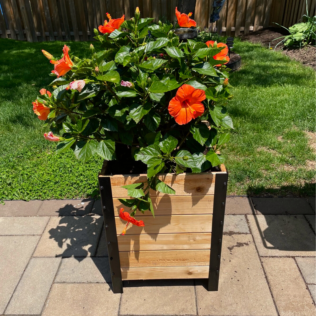 18″ x 18″ Planter Box - 24" TALL / Select Grade
