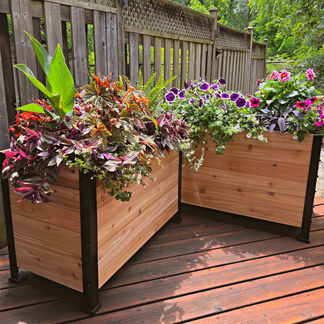 18" x 36" Planter Box - 24" TALL / Garden Grade
