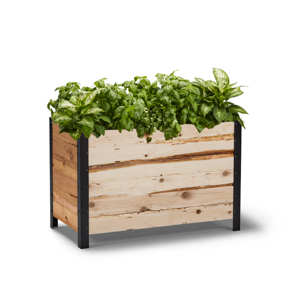 18" x 36" Planter Box - 24" TALL / Garden Grade