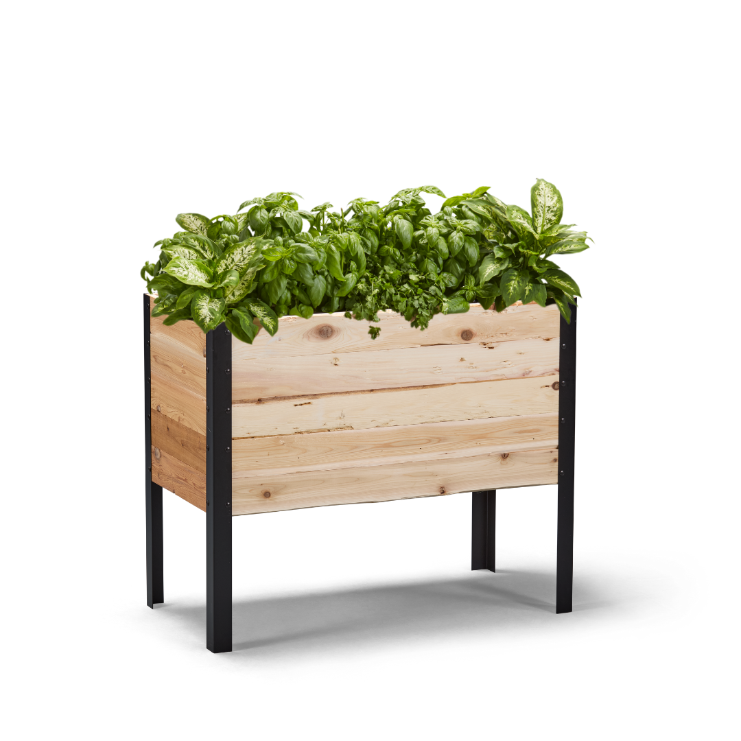 18" x 36" Raised Garden Bed - 30" TALL / Garden Grade