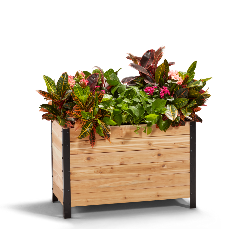 18" x 36" Planter Box - 24" TALL / Select Grade