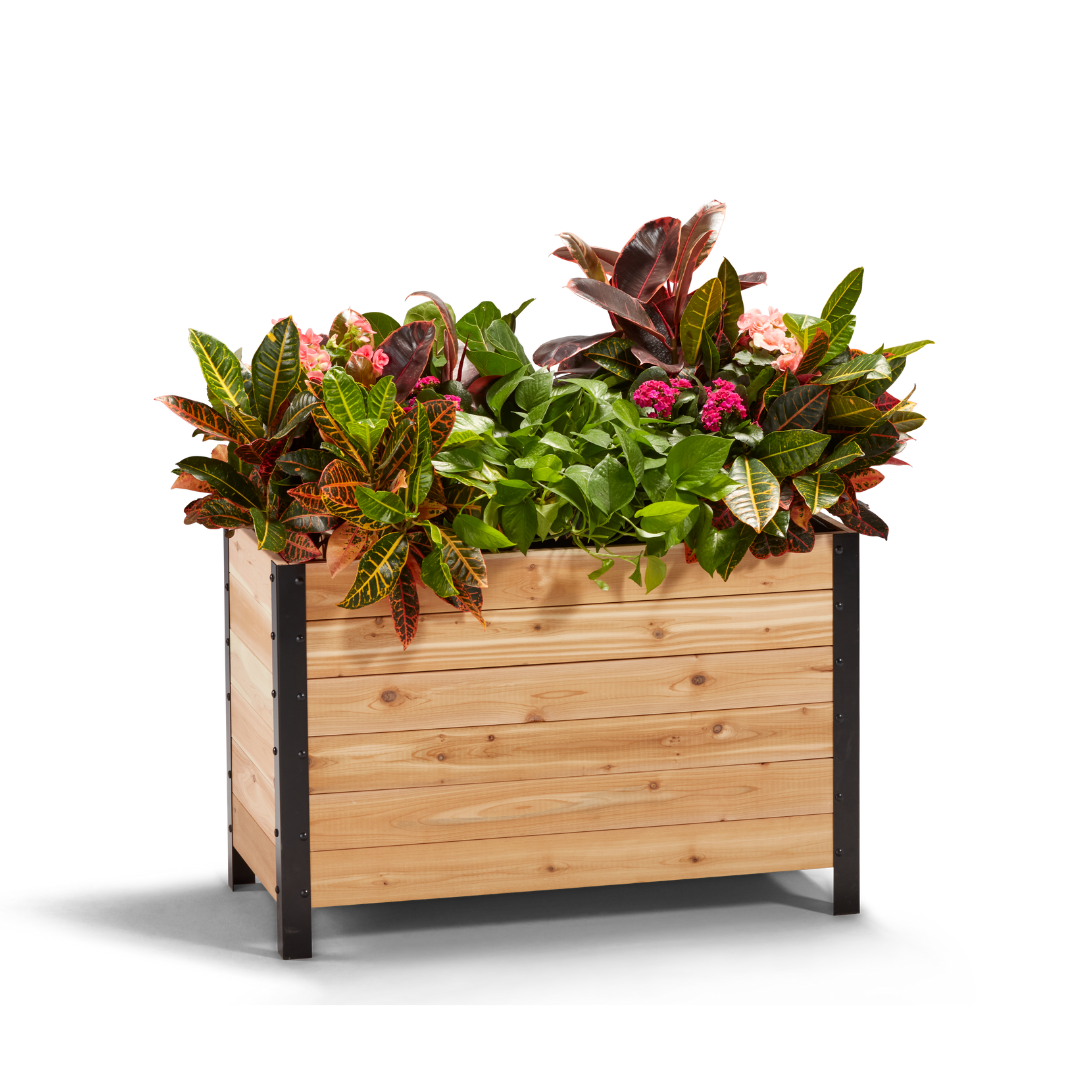 18" x 36" Planter Box - 24" TALL / Select Grade