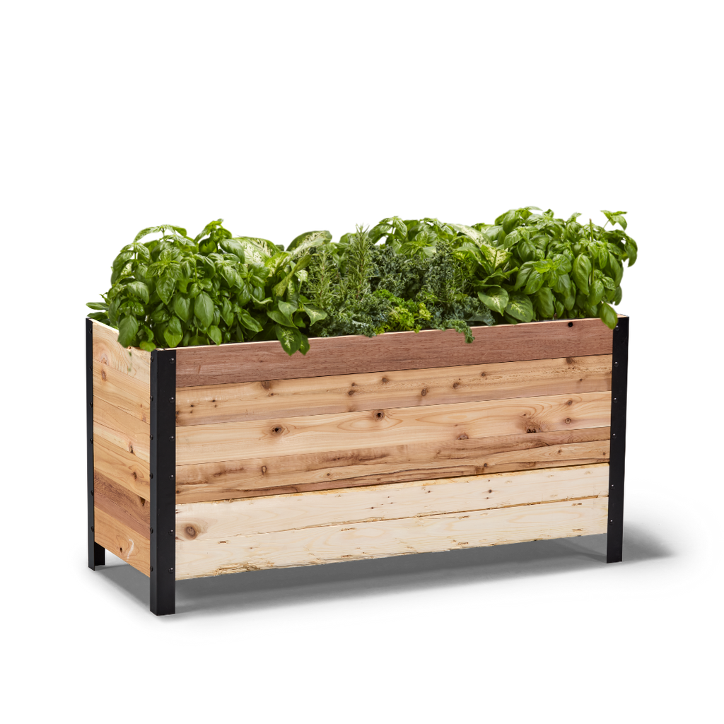 18" x 48" Planter Box - 24" TALL / Garden Grade