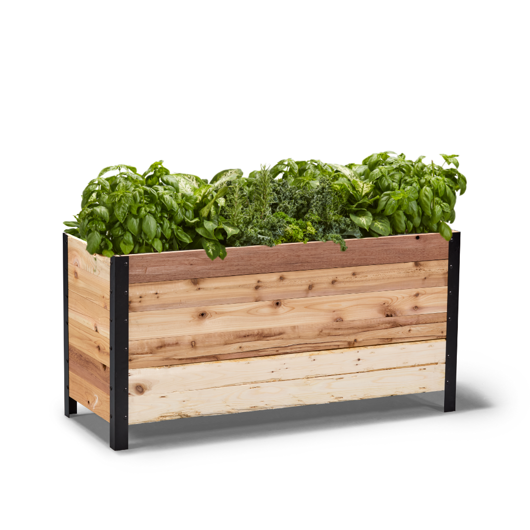 18" x 48" Planter Box - 24" TALL / Garden Grade