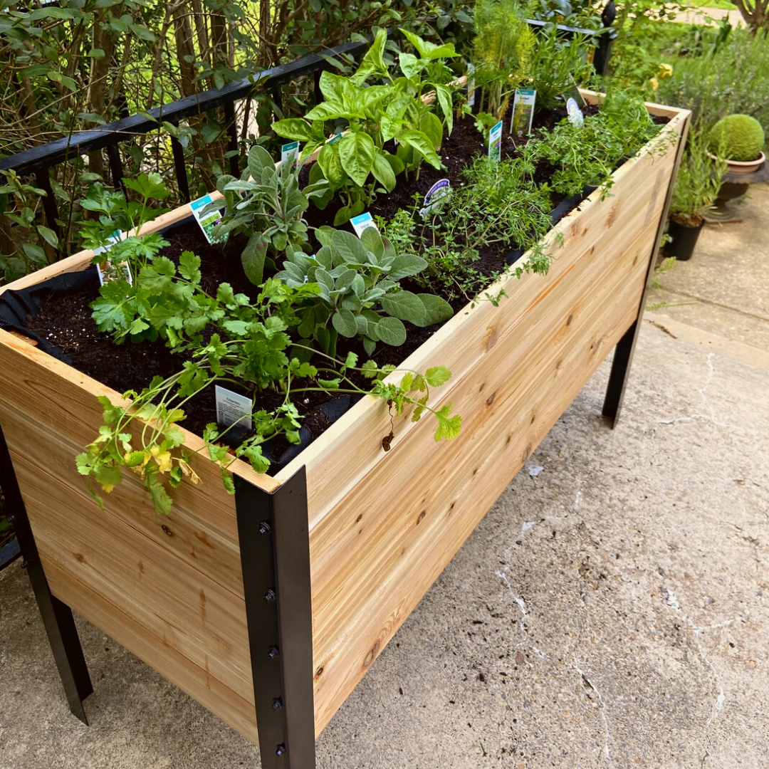11.5" x 48" Raised Garden Bed - 30" TALL / Garden Grade