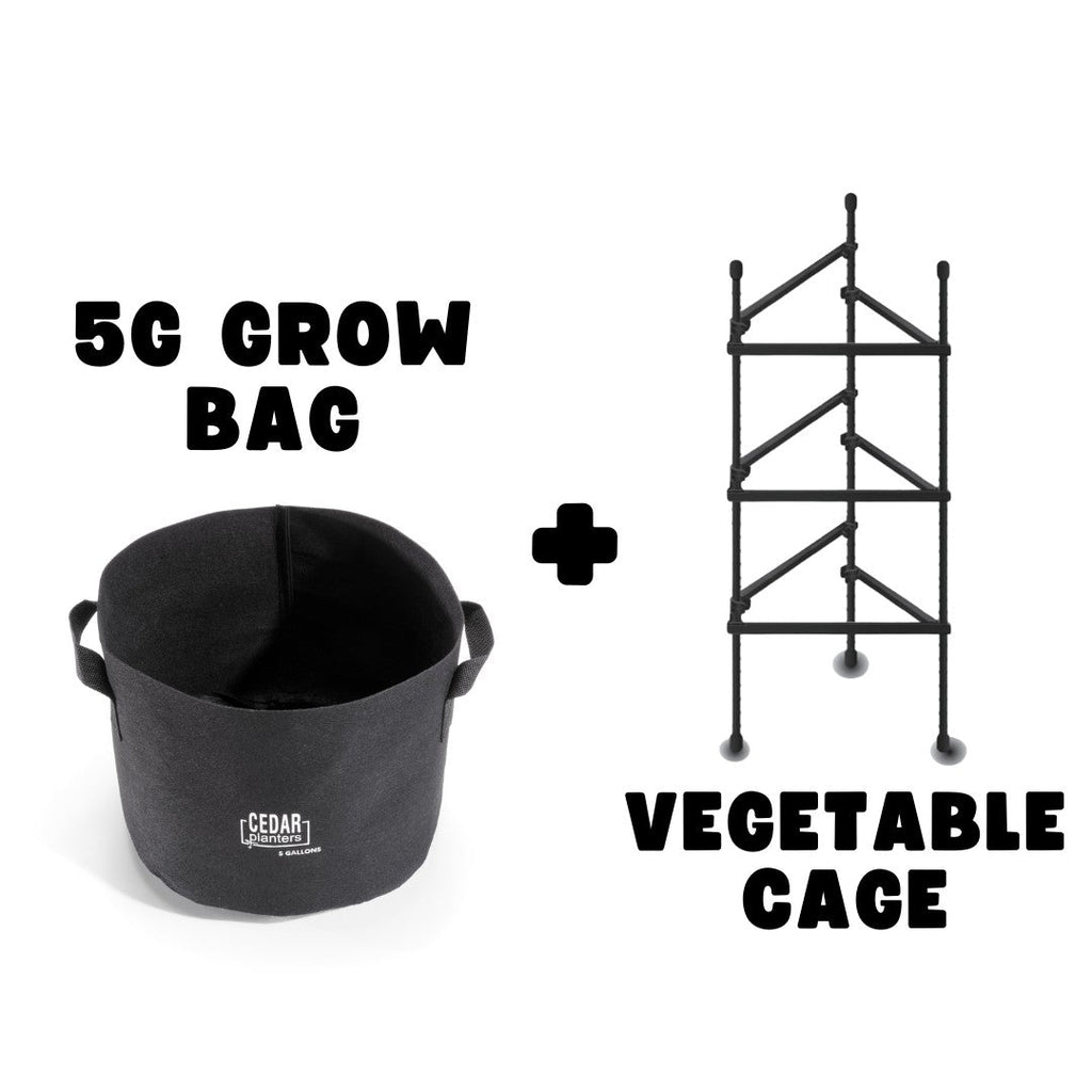 Veggie Grow Duo
