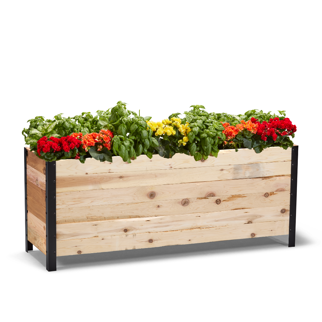 18" x 60" Planter Box - 24" TALL / Garden Grade