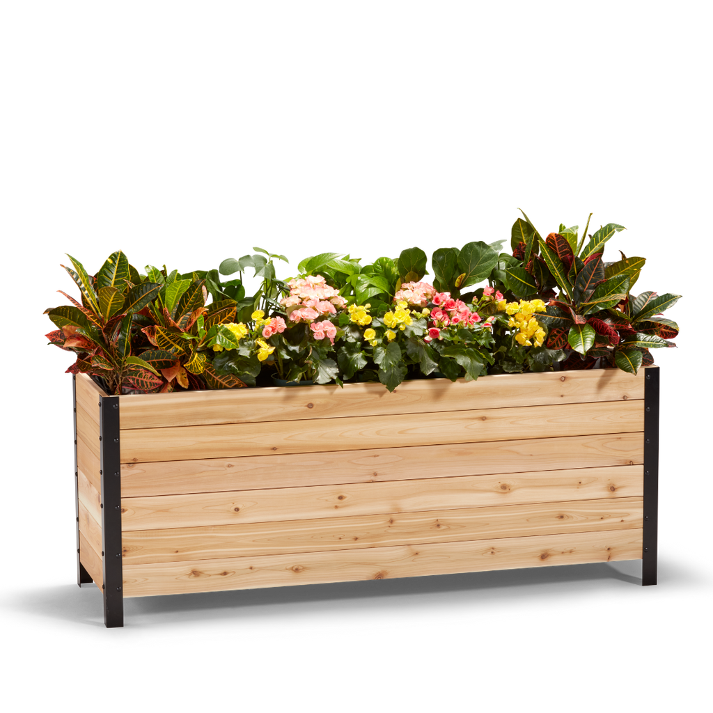 18" x 60" Planter Box - 24" TALL / Select Grade