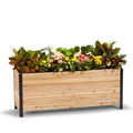 18" x 60" Planter Box - 24" TALL / Select Grade