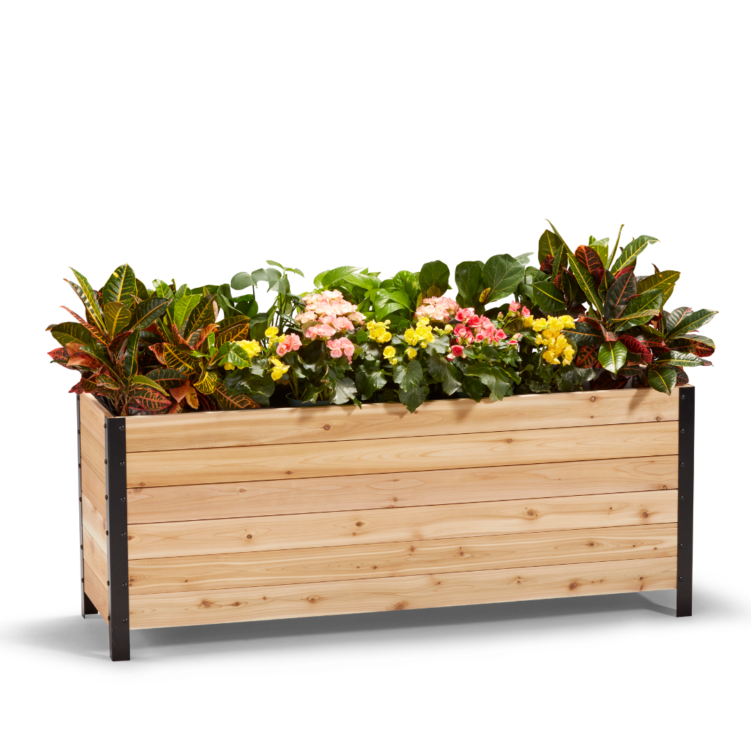 18" x 60" Planter Box - 24" TALL / Select Grade
