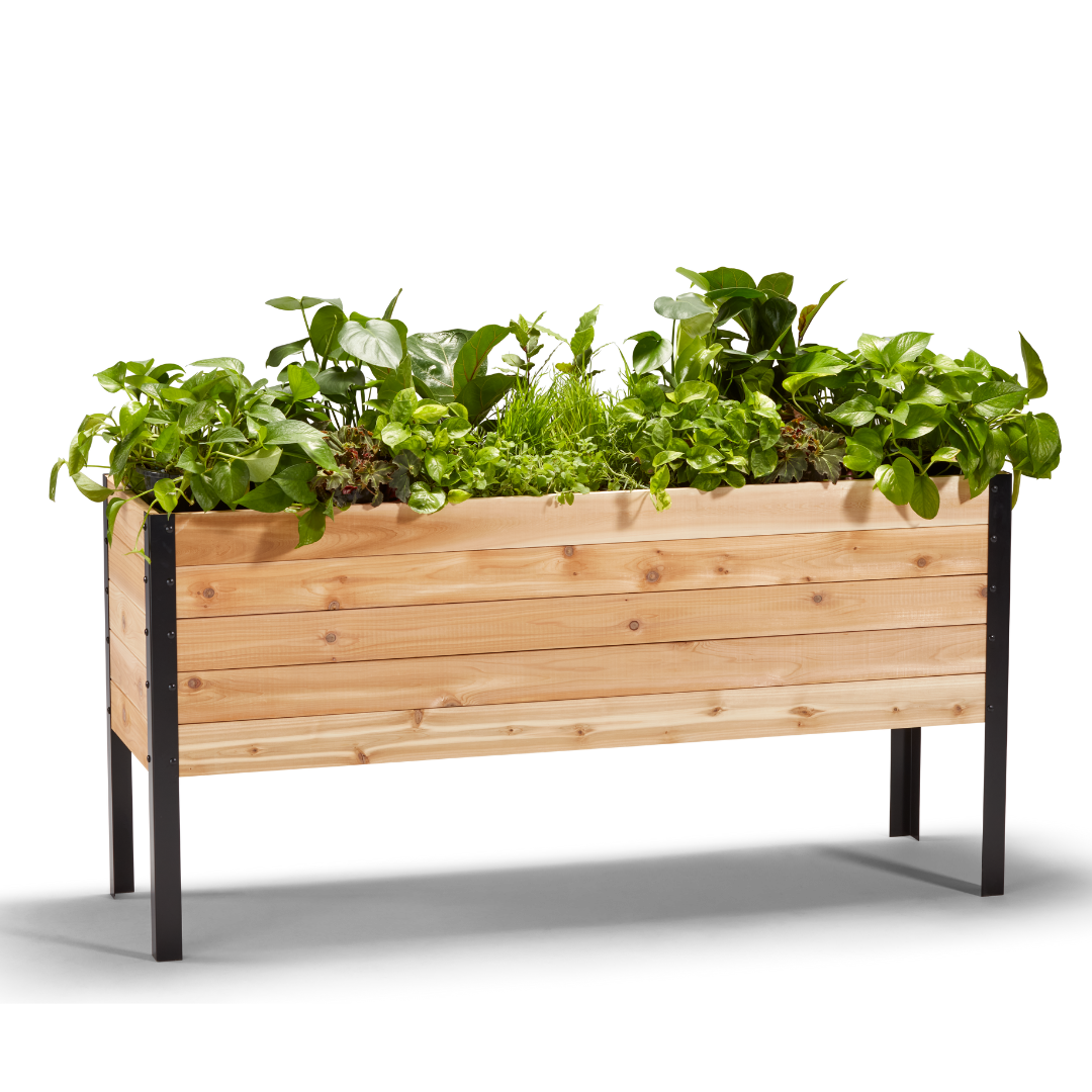18" x 60" Raised Garden Bed - 30" TALL / Select Grade