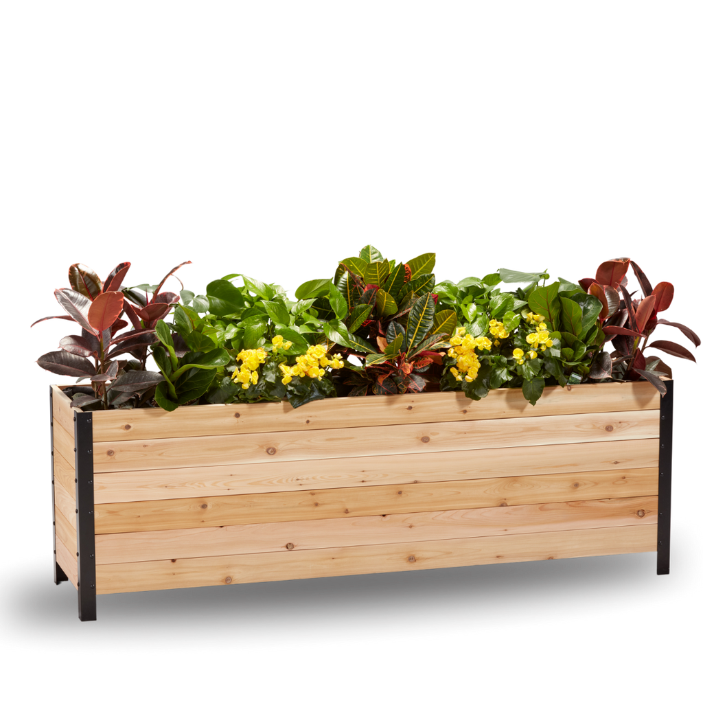 18" x 72" Planter Box - 24" TALL / Select Grade