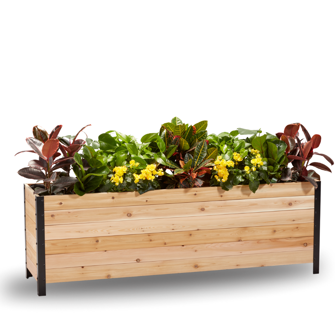 18" x 72" Planter Box - 24" TALL / Select Grade