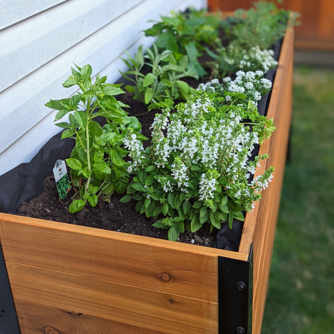 18" x 72" Planter Box - 24" TALL / Garden Grade