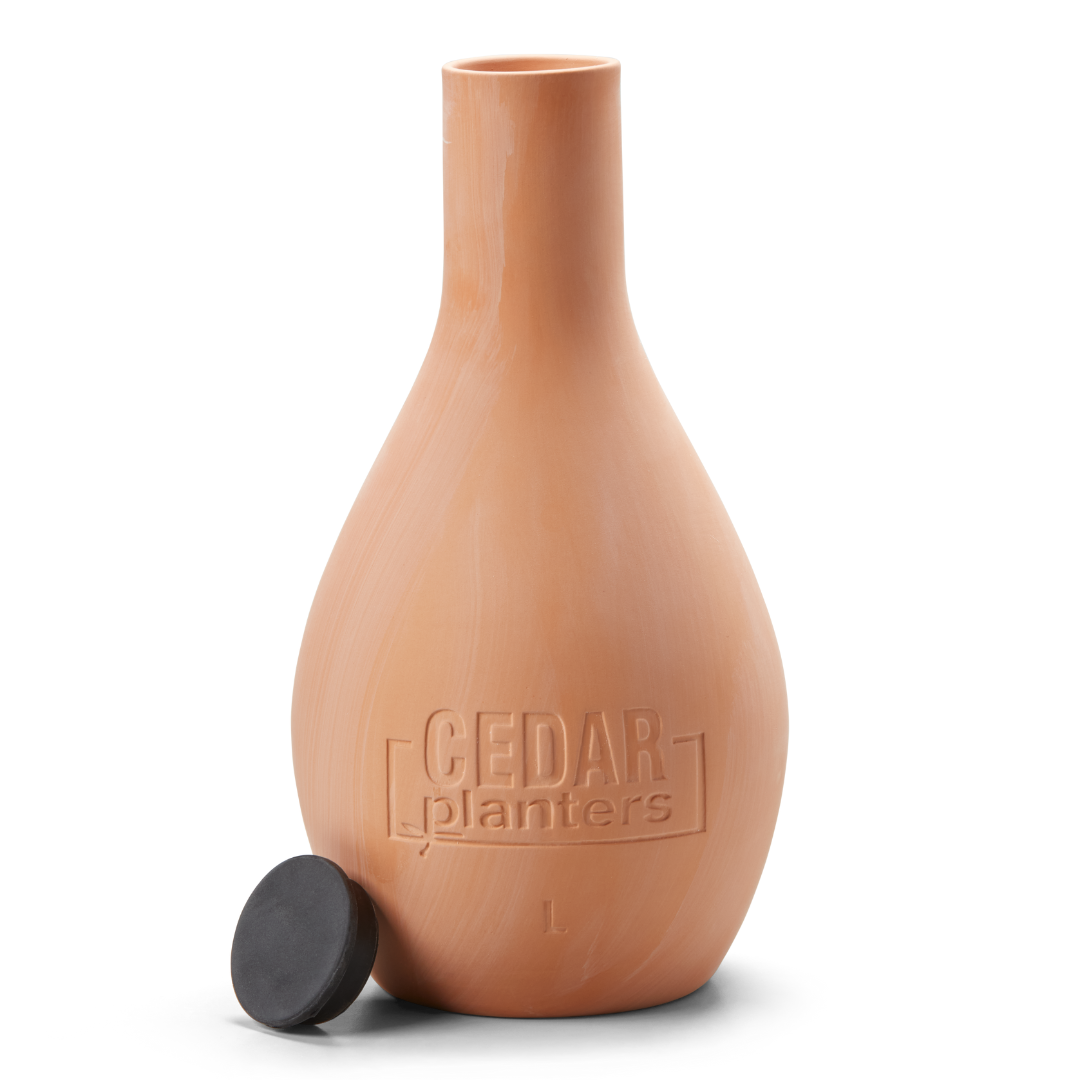 Self-Watering Clay Olla Pot