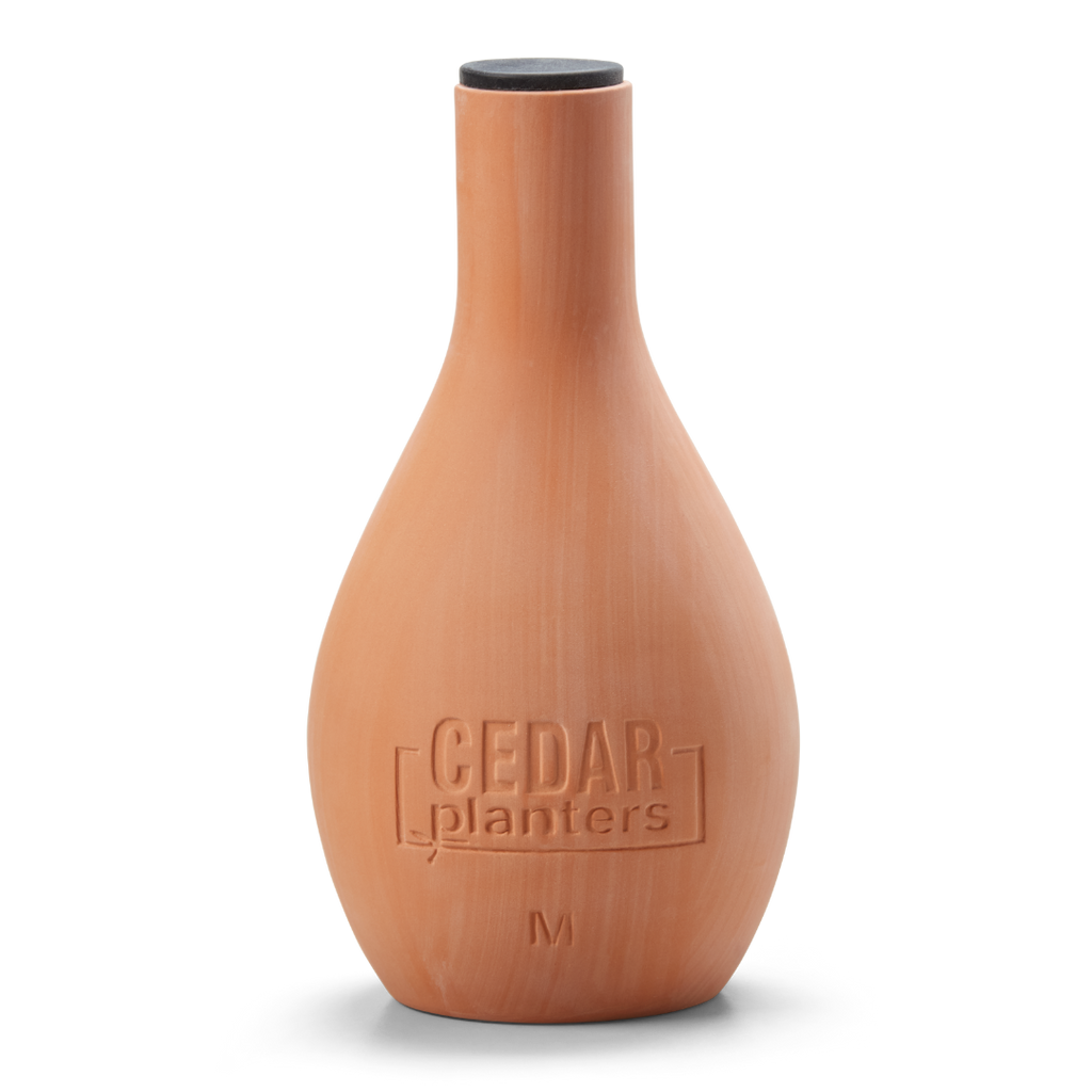 Self-Watering Clay Olla Pot