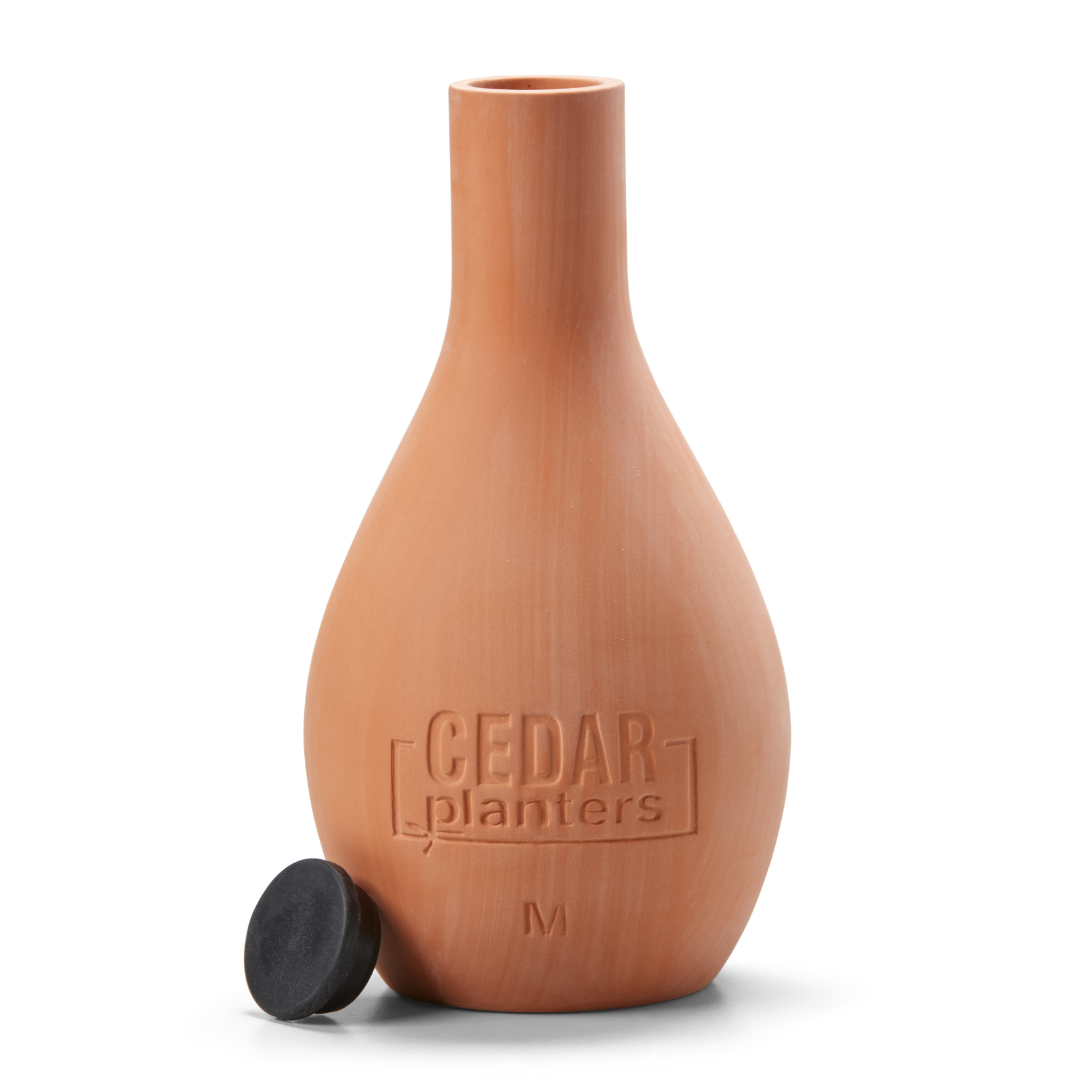 Self-Watering Clay Olla Pot