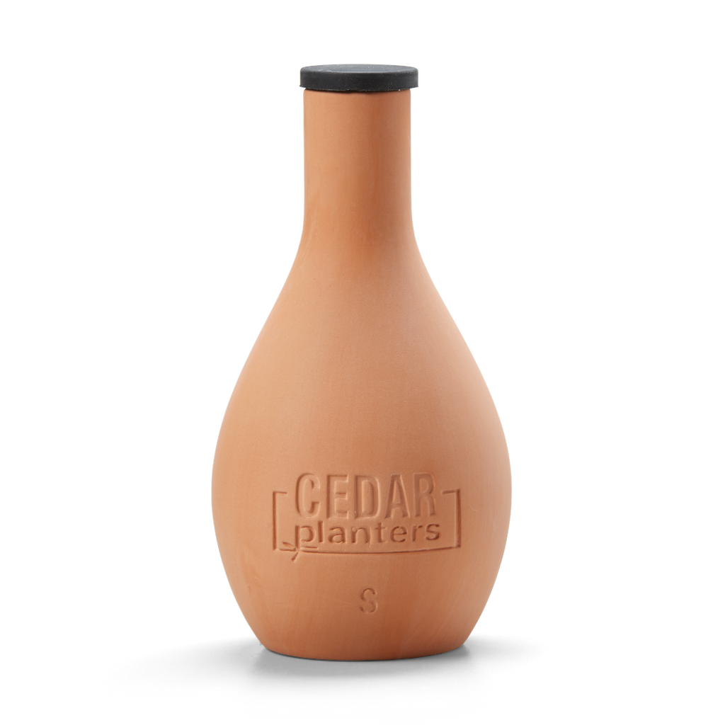 Self-Watering Clay Olla Pot