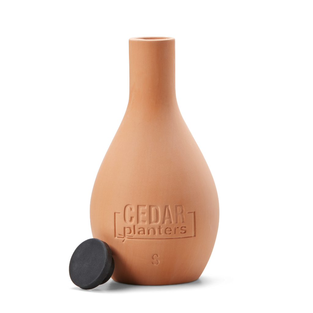 Self-Watering Clay Olla Pot