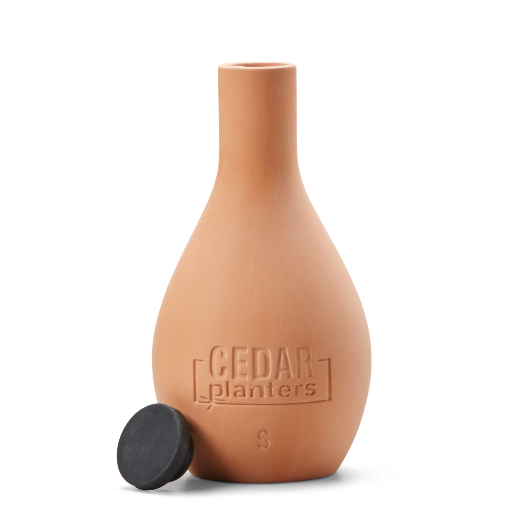 Self-Watering Clay Olla Pot