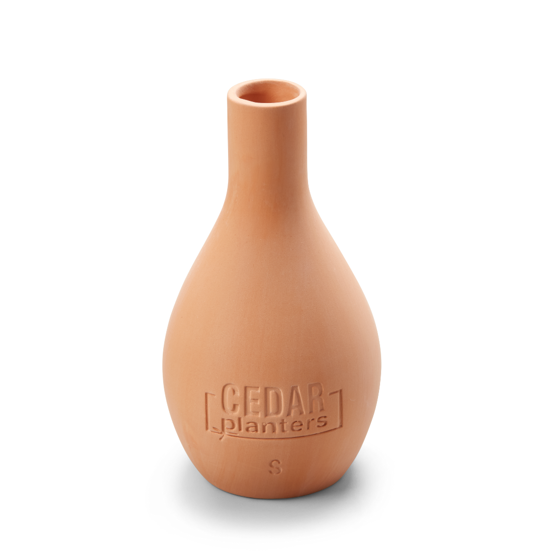 Self-Watering Clay Olla Pot