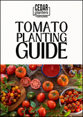 E-book: Tomato planting guide