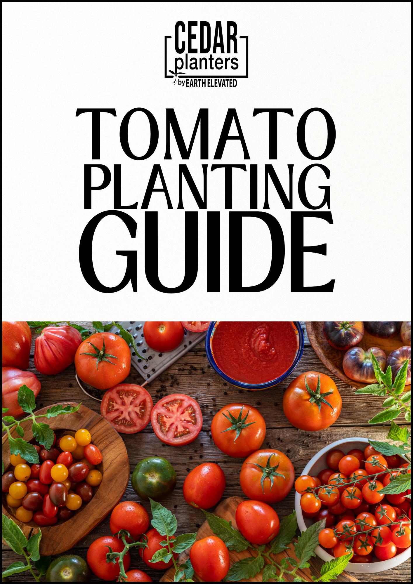 E-book: Tomato planting guide